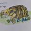 大好きライムちゃん
