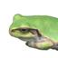 けろけろグラフィック