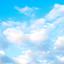 maehara_notion