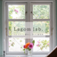 Lagom lab