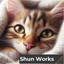 Shunworks