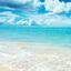 taiga38
