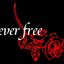 ever free