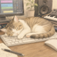 ねこの杜Studio