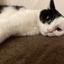 Kitanopere