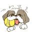 かわさき_