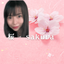 桜 sakura
