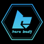 HERO body