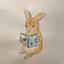Loppy_Illustration