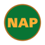 榊原_NAP