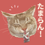 mocco猫イラストレーター