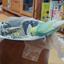 parakeetlibrary