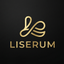 Web広告運用  Liserum合同会社