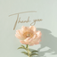 Thank you ・ｖ・