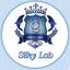 Silky Lab