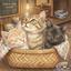 Kitten Cafe 3