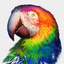 BIRDisBIRD