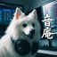 音庵 otowan studio