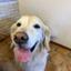 fiona719buddy