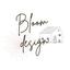 Bloom Design＊
