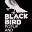 BLACK BIRDDesign