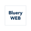 webdesigner_bluery