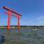 iiyo空間デザイン