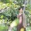 kazue25