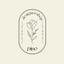 design_pino
