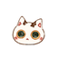 めぬきゃ
