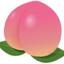 peach_design_lab