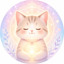 ねこまるレイキ