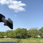 こっすんNsの医療従事者向けのサポート