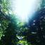 Peaceful light