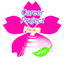 Career Project Koga
