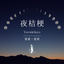 夜桔梗