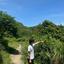 shu_18x