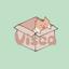 Visca_design
