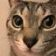 とらねこデザイン