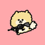✦inu✦