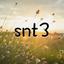 snt3