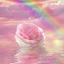 Pink Rose21