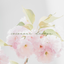 coconone design ＊