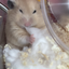 はもみ