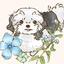 oひなめいo