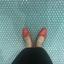 pichan_f