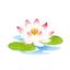 水蓮suiren