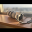studio_tanukineiri