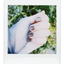niwa_2502