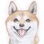 似顔絵描き 貴房